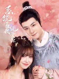 ϵͳ����˵����