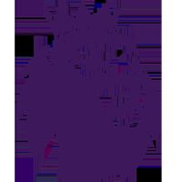 Ӣ�� ������vs����ķ��20250930