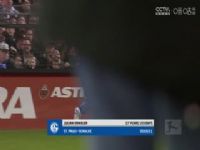 ¼  ˸°ͺvsҺķ (̷) 20231202