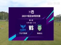 ��Э���ʸ��� ����ƽ�޺���VS����˫�� 20241216