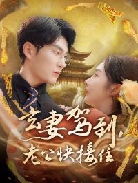 ���޼ݵ����Ϲ����ס