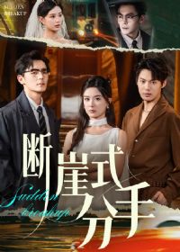 ����ʽ����