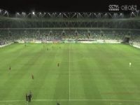 �������� ������������VS�������������� 20240916