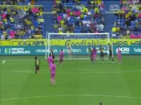 �������� ��˹������˹VS������ 20241027