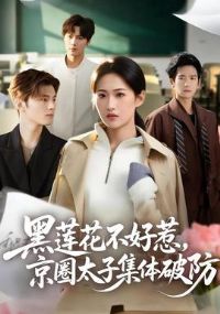 �����������ǣ���Ȧ̫�Ӽ����Ʒ�