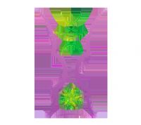 �������ޱ� ӡ��vs�й�20250807