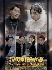 ���ٵ�������