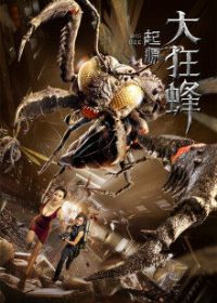 ���䣺��Դ