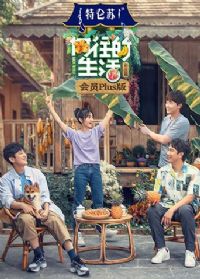 ����������4��ԱPlus��